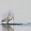 thumbs/IMG_3862.jpg